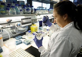 Científicos españoles logran revertir el alzhéimer en ratones reactivando el sistema de limpieza del cerebro