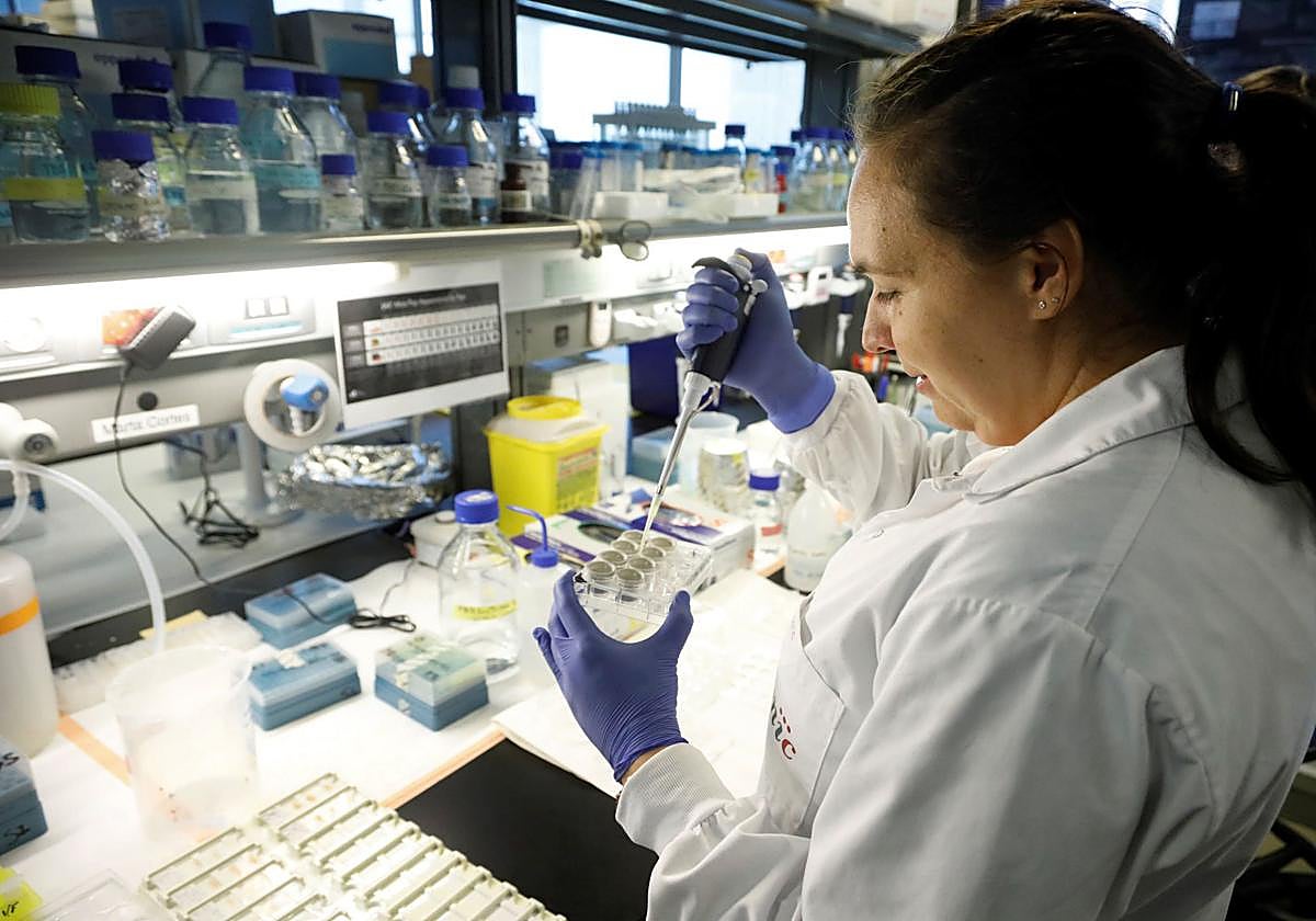 Científicos españoles logran revertir el alzhéimer en ratones reactivando el sistema de limpieza del cerebro