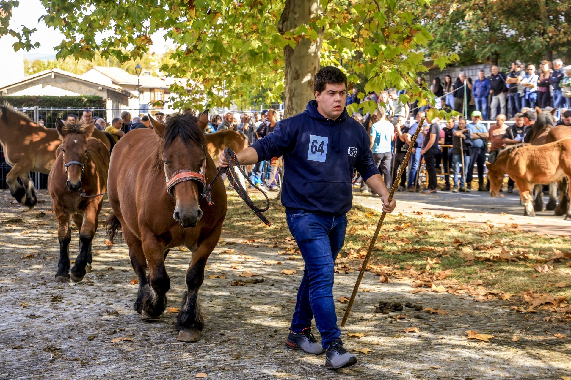 La Feria de Agurain en imágenes