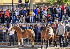 La Feria de Agurain en imágenes
