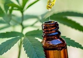 Gotas de medicina a base de cannabis.