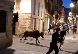 La primera vaquilla salió a pocos minutos de las 7.30 horas de la mañana rodeada de centeneres de participantes.