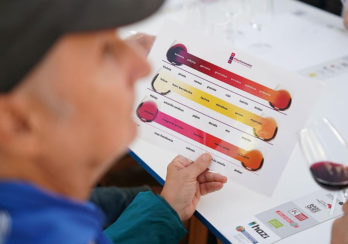 Los secretos del vino