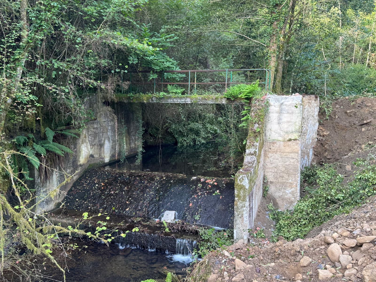 Río Mape de Busturia.
