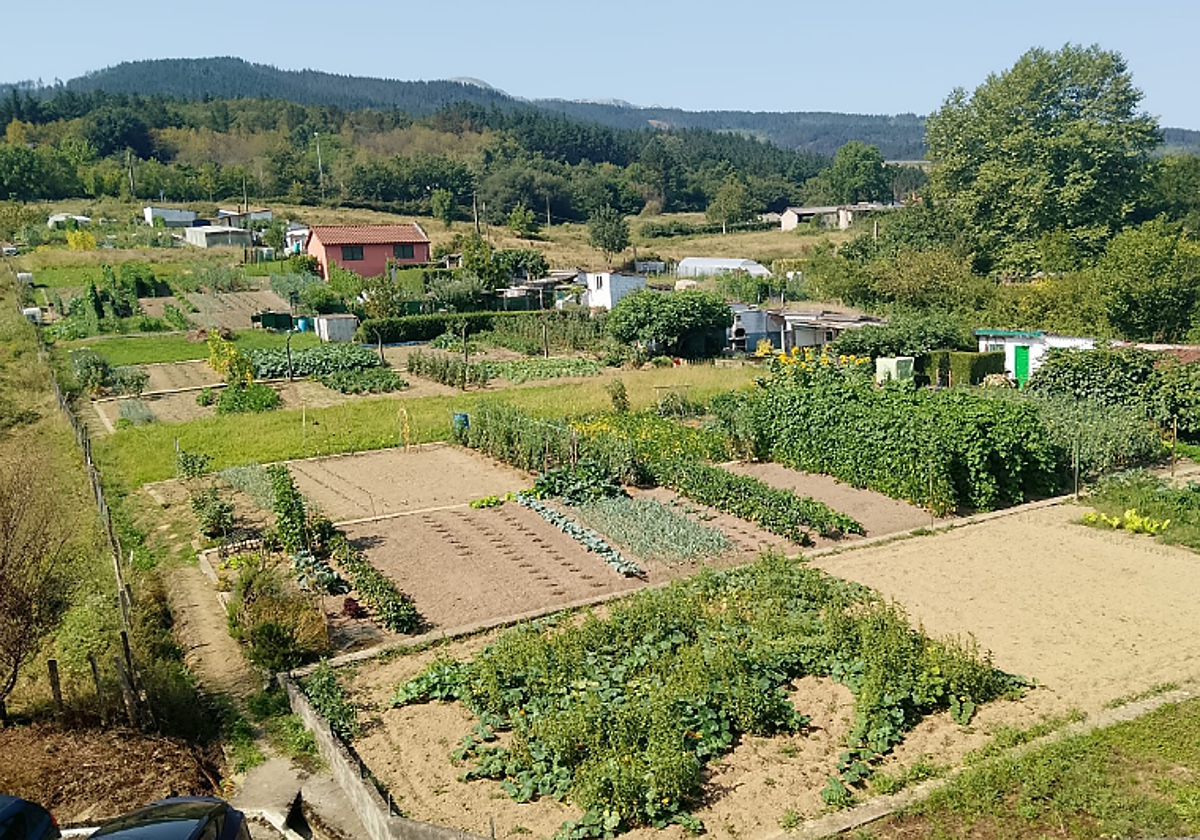 Terrenos de alto valor agrológico amenazados por el nuevo plan parcial.