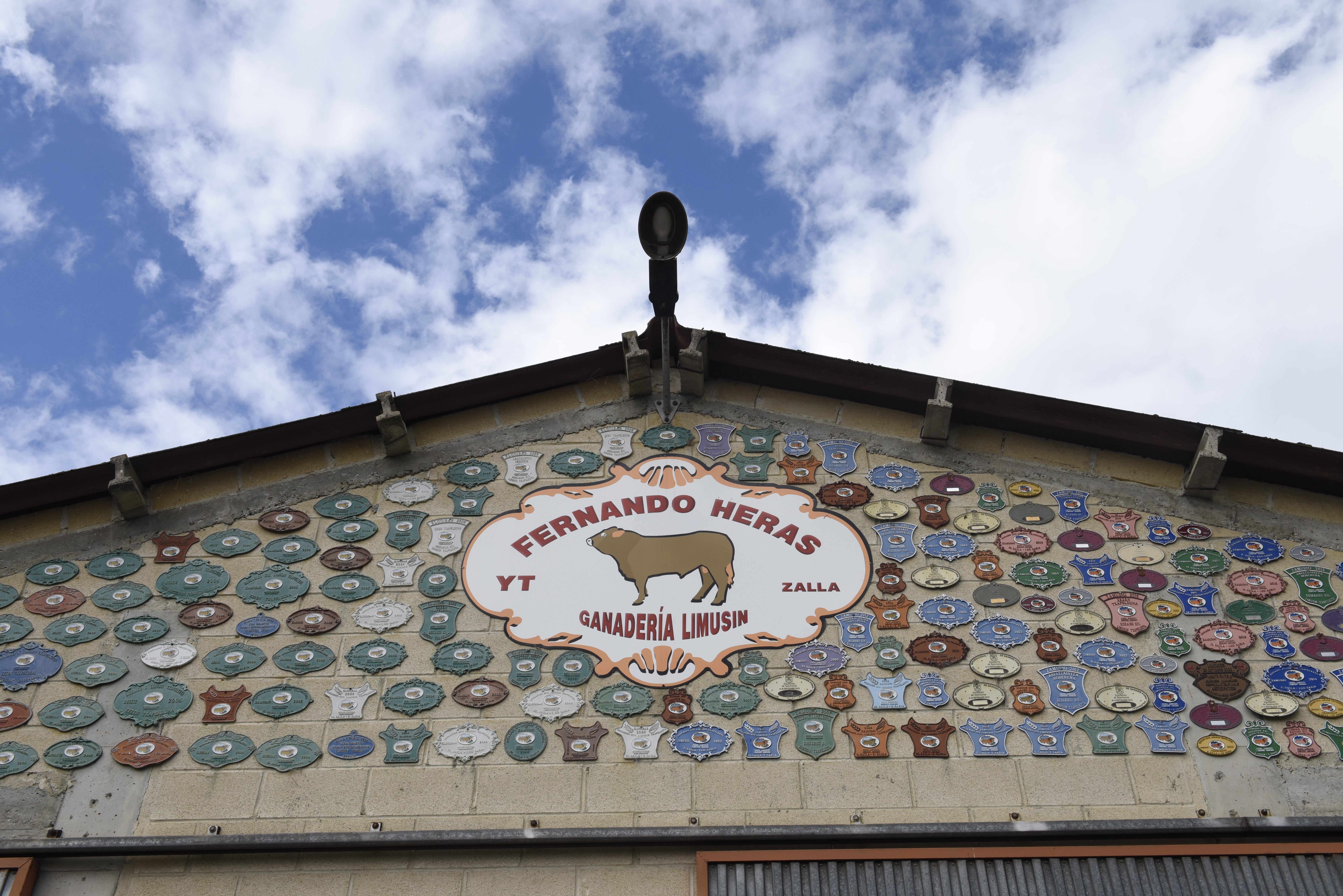 Imagen principal - La explotación de la familia Heras exhibe a la entrada los premios obtenidos por sus excepcionales ejemplares de raza Limusin. Abajo, Carlos Gómez Valcárcel (Tino) con los chuleteros y otros cortes en su carnicería de la calle Fika.