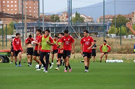 El técnico mirandesista podría apostar por repetir gran parte del once titular de las últimas dos jornadas ligueras.