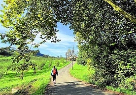 La ruta permite un paseo tranquilo y sin dificultades.
