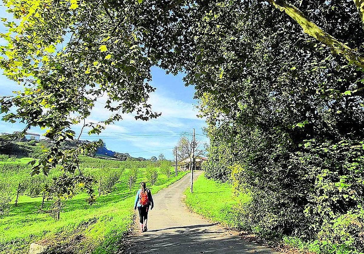 La ruta permite un paseo tranquilo y sin dificultades.