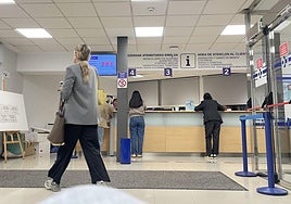 Profesionales de Osakidetza y perfiles lingüísticos