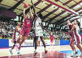 Westerik mira a canasta ante la oposición de Fingall en Maloste