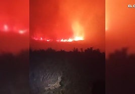 Bomberos trabajan en la zona afectada por el incendio, un área de difícil acceso.