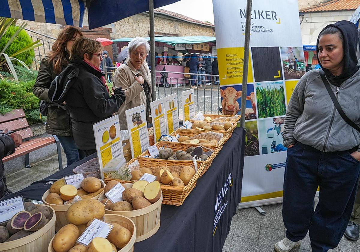 Una de los puntos fuertes del evento es la posibilidad de conocer las diferentes variedades de mano de expertos.