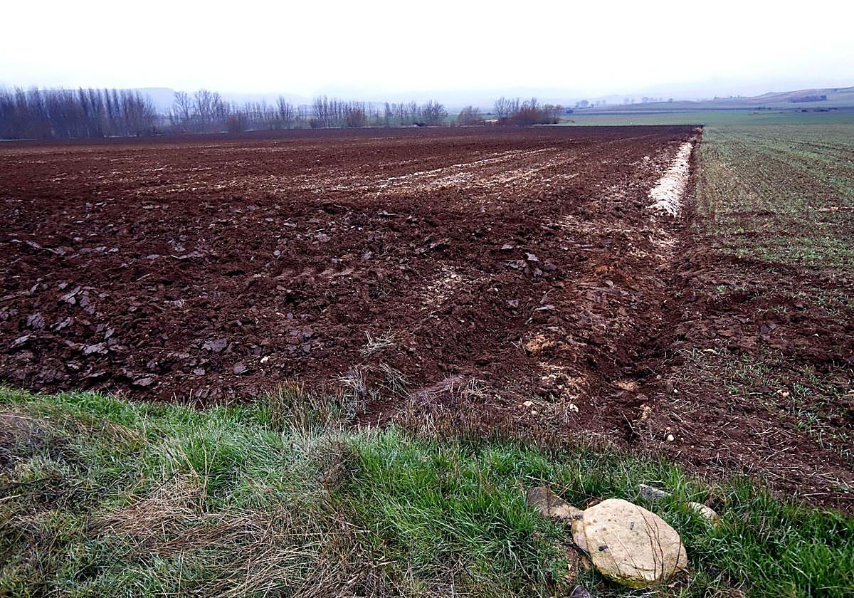 Terrenos en los que está previsto montar la instalación.