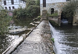 El vertido ha afectado a esta zona del río Butroe, en el Molino Latxaga.