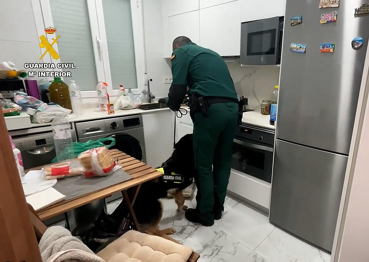 Imagen secundaria 1 - Dos detenidos en Álava en una macroperación antidroga