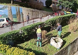 El programa formará a las personas beneficiarias en diversos perfiles.