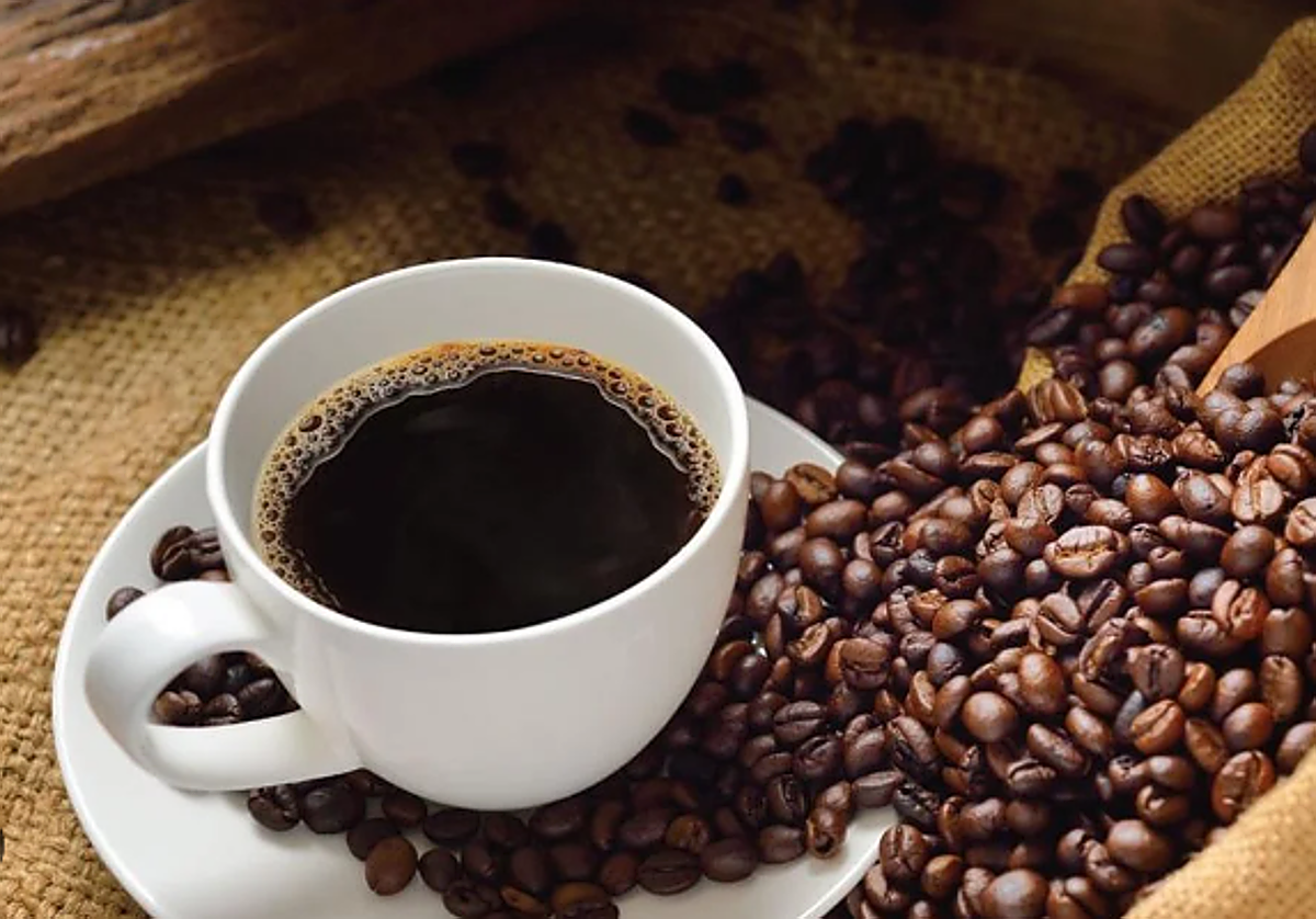 Un kilo del café Kopi Luwak puede superar los 1.000 euros.