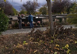 Aspecto de los jardines del cementerio.
