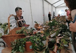 Imagen de una edición anterior.