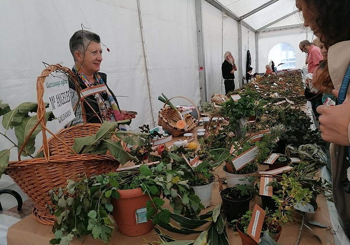 Imagen de una edición anterior.