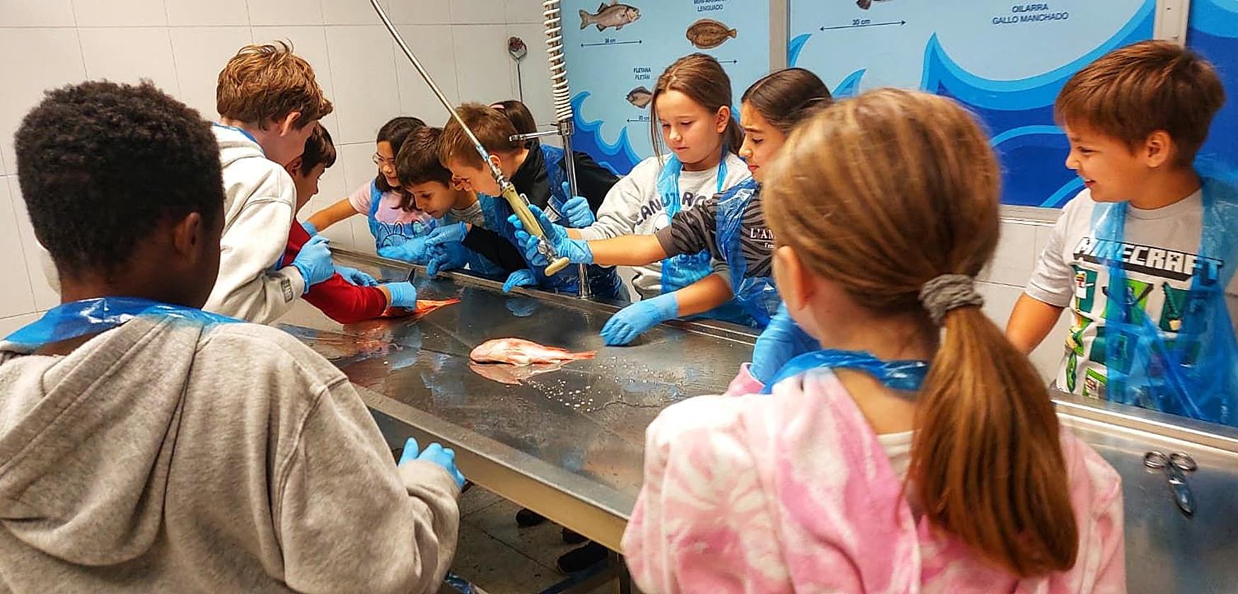La limpieza de pescado es una de las actividades que más gusta al alumnado que acude a los talleres sensoriales de Mercabilbao.
