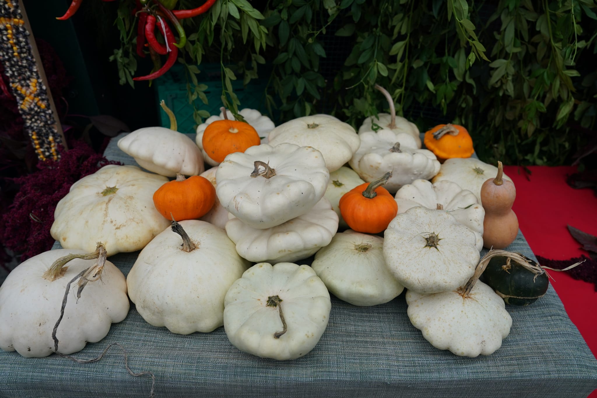 El Último Lunes de Gernika, en imágenes