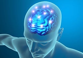 Cómo evitar la hipertensión, el principal factor de riesgo del ictus