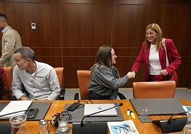 La parlamentaria de EH Bildu Eraitz Sáez de Egilaz saluda a la consejera María Jesús San José en una comparecencia en comisión.