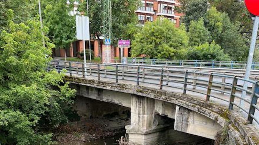 Los trabajos han consistido en la retirada estos elementos vegetales que obstaculizaban el cauce fluvial.