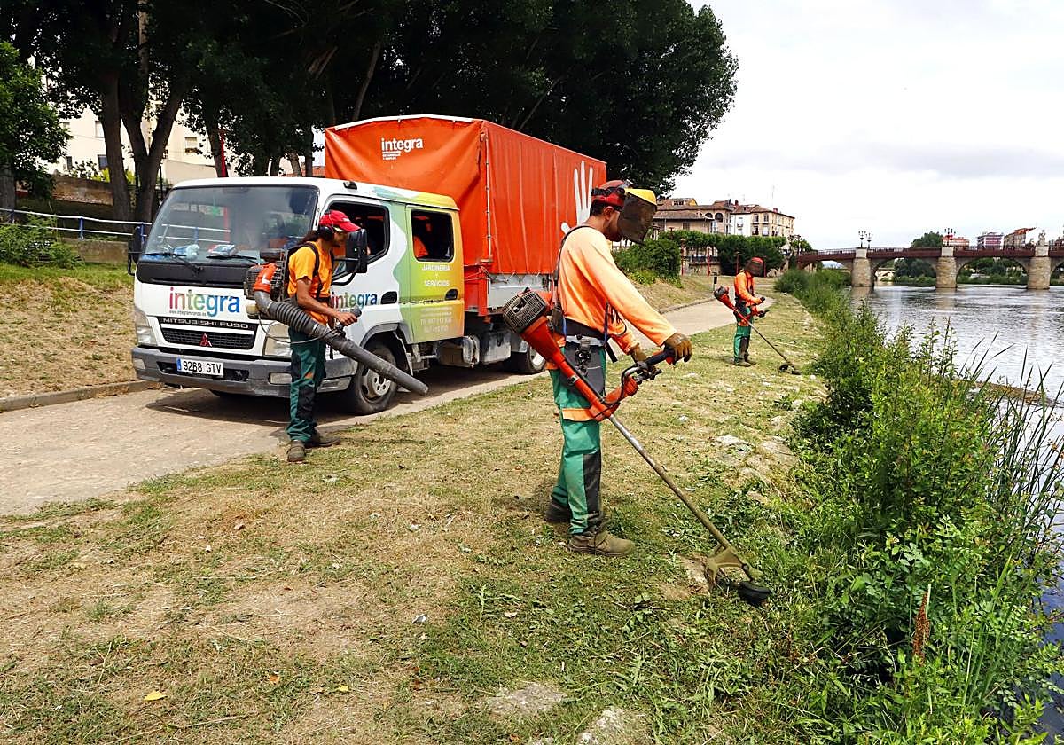 La jardinería es uno de los trabajos habituales que desempeña el colectivo.