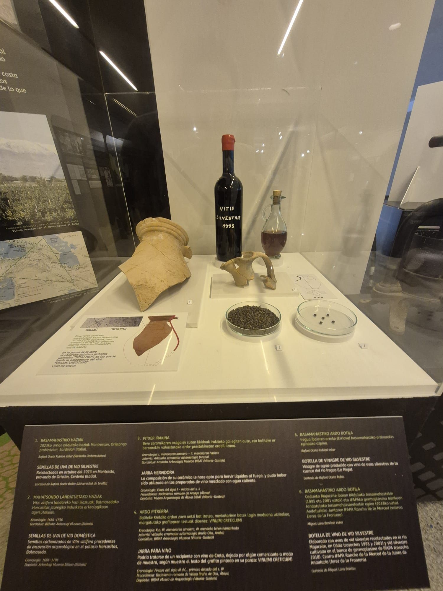 Exposición del Chacolín en Bakio