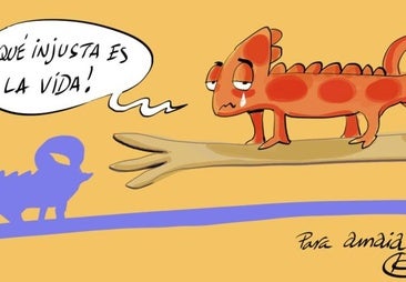 La viñeta de Cerrajería dedicada a la artista