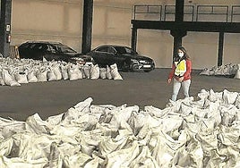 La cocaína estaba impregnada en sacos de carbón.