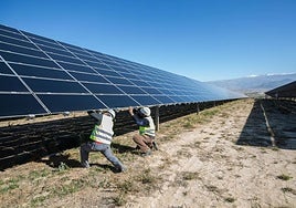 Trabajadores de un parque solar, durante las obras para colocar las placas.