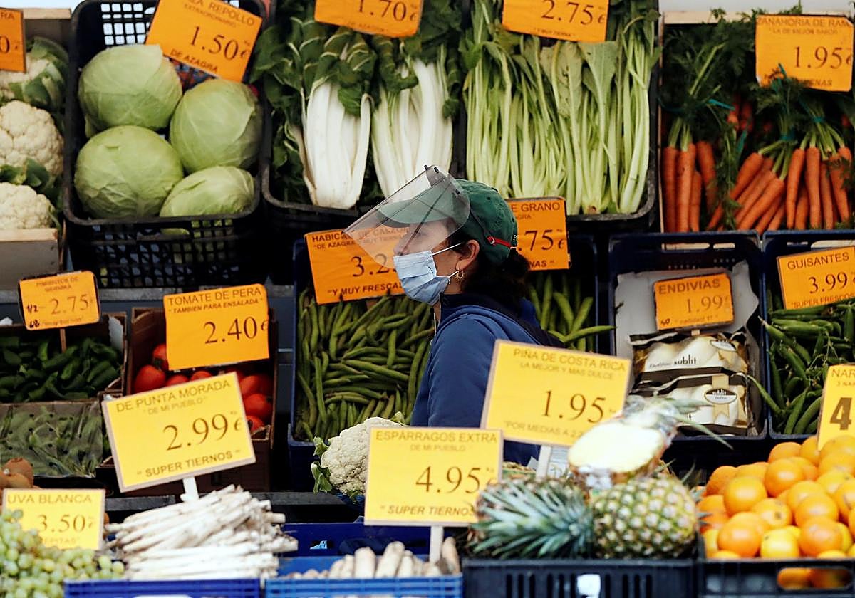 Alerta alimentaria «grave» por altos niveles de nitratos en una conocida verdura de origen español