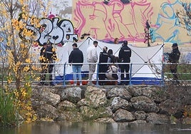 El varón fue sacados del Ebro cerca del Puente de Hierro.