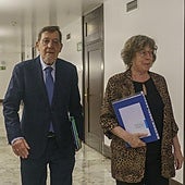 El presidente de la comisión, Juan Luis Ibarra, y la vocal Miren Ortubay han comparecido este lunes en el Parlamento vasco.