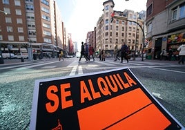 El Gobierno vasco proyecta un seguro de impagos para los propietarios de pisos que alquilen en zonas tensionadas