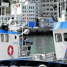 La vieja fábrica de hielo del puerto de Ondarroa seguirá aún operativa.