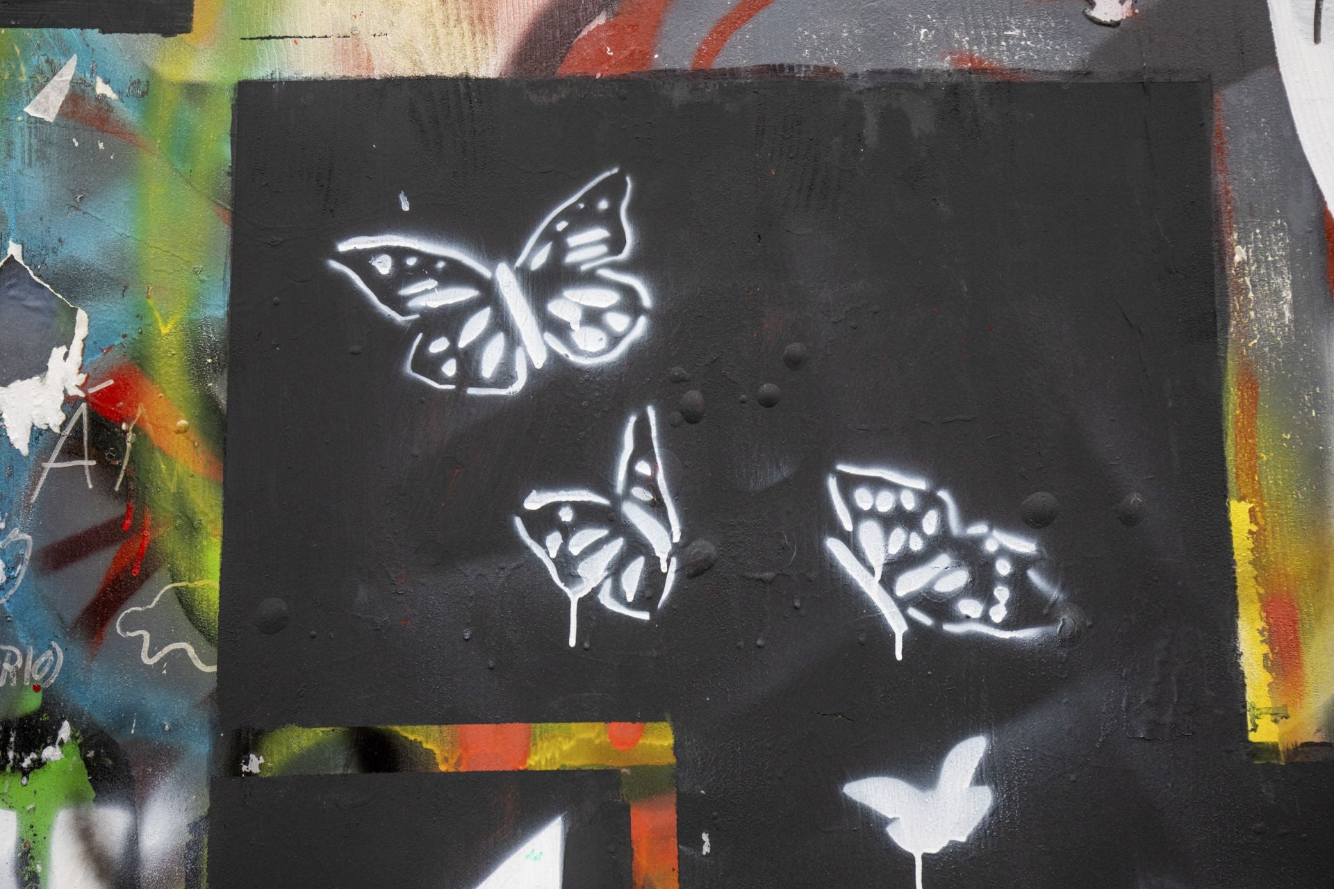 Estos son los grafitis del muro rojo de Vitoria