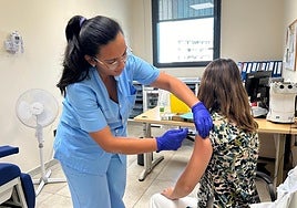 Osakidetza ha administrado ya 531.922 vacunas de la gripe, un virus que suma 553 ingresos