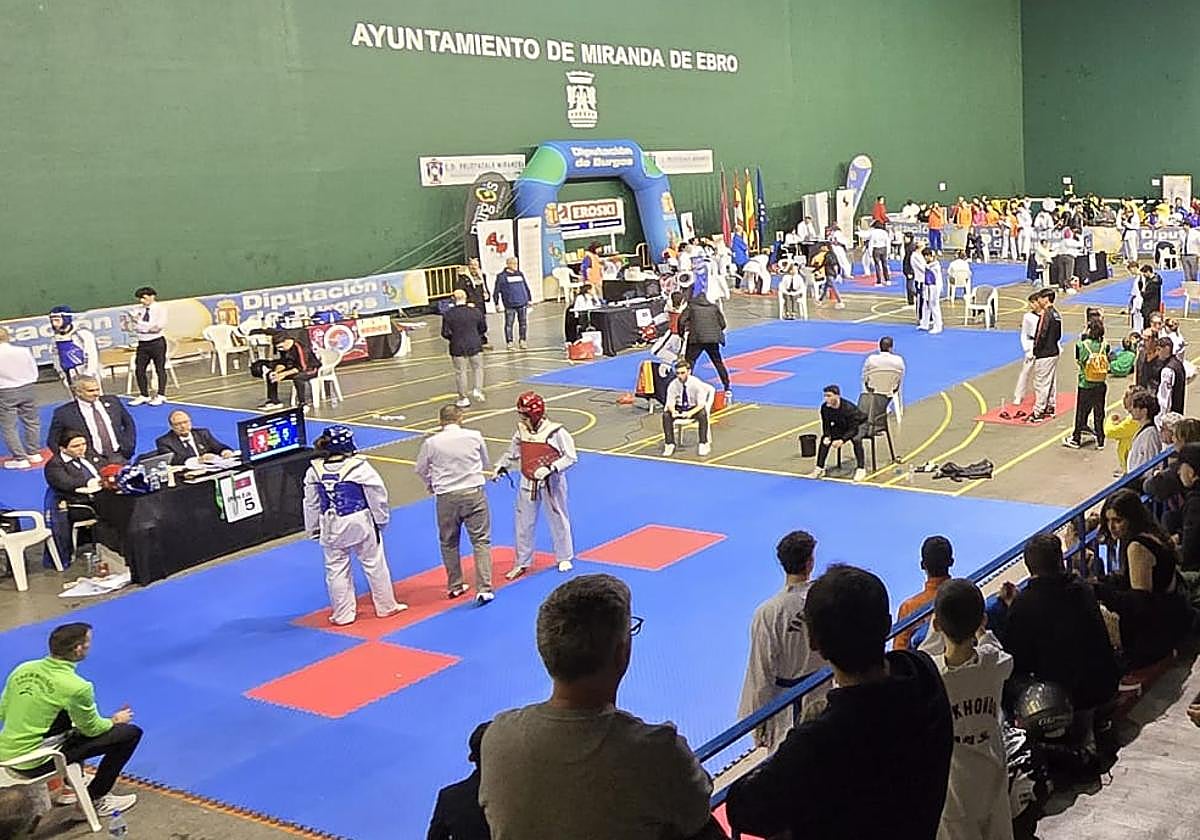 Anduva volverá a acoger lo mejor del taekwondo.