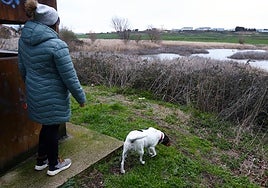 El humedal de Bayas destaca por su alto valor ecológico.