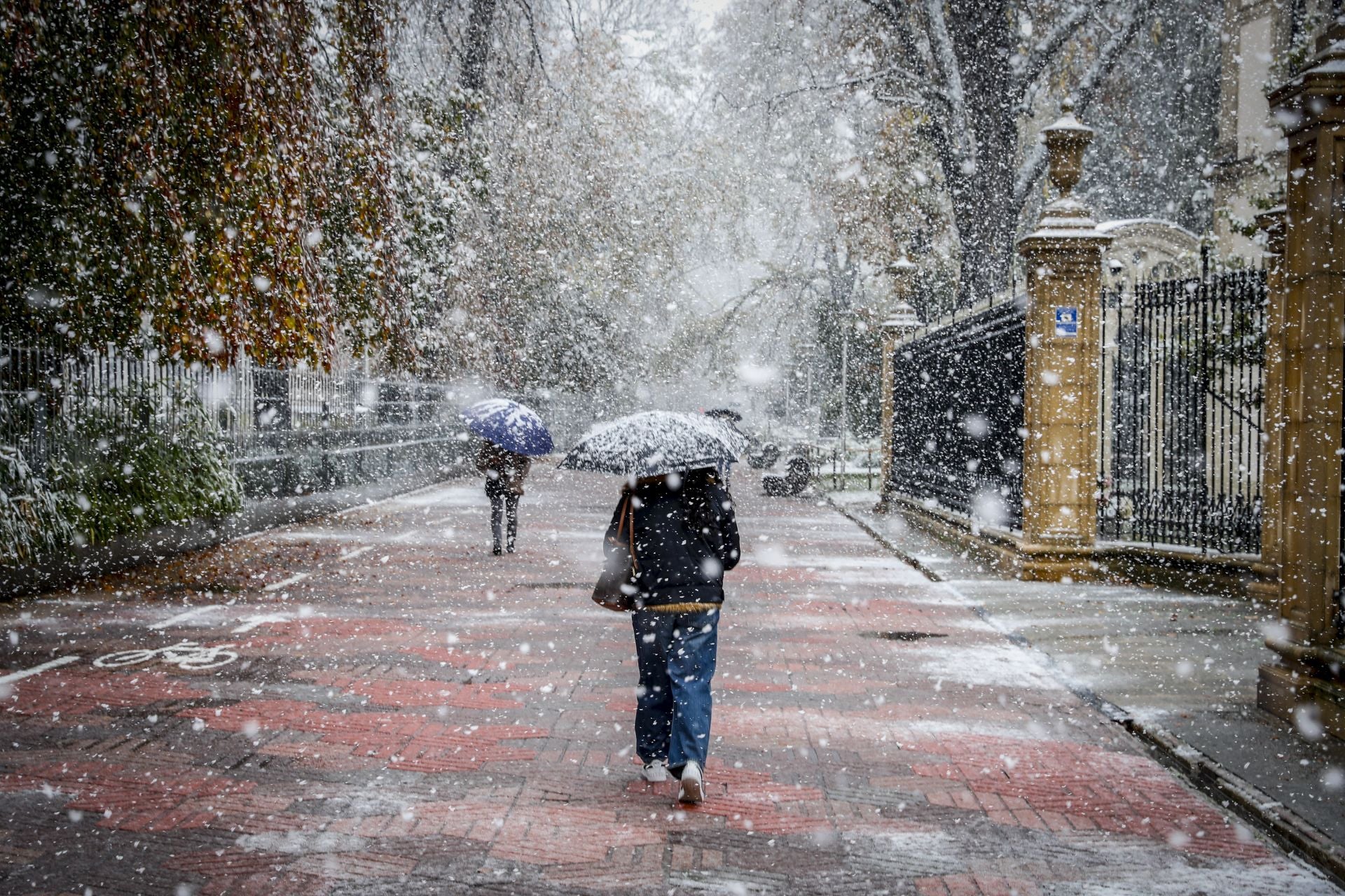 Las imágenes de un día de nieve en Álava