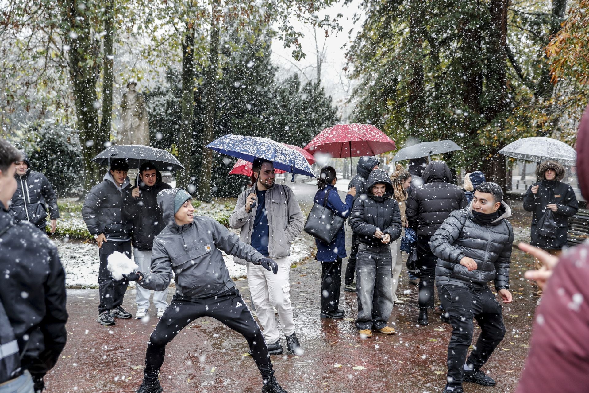 Las imágenes de un día de nieve en Álava