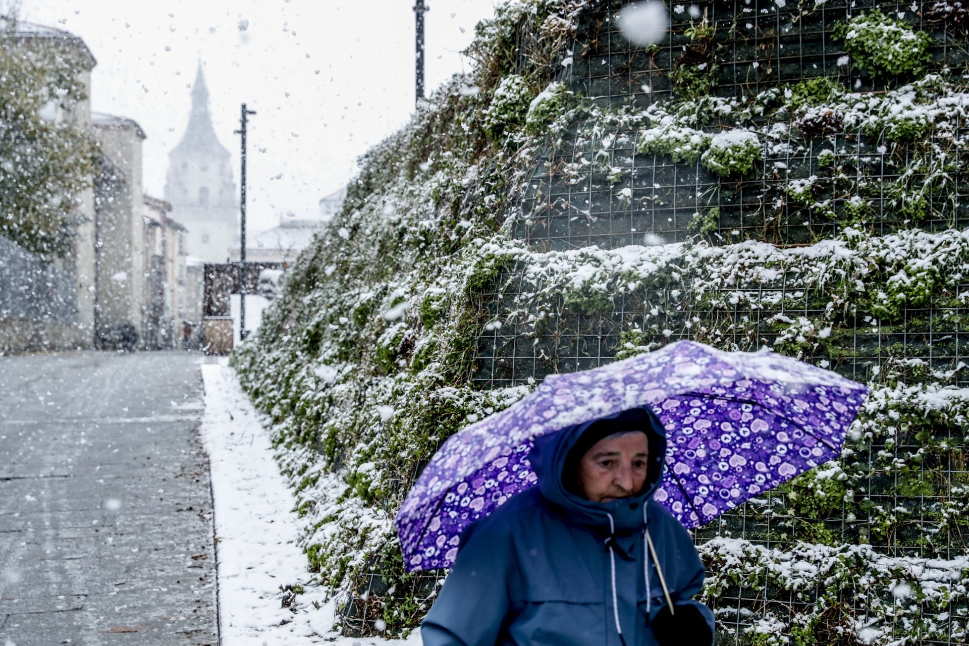 Las imágenes de un día de nieve en Álava