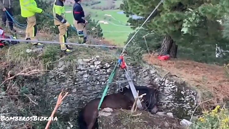 Momento en el que los bomberos intentan rescatar a la yegua.