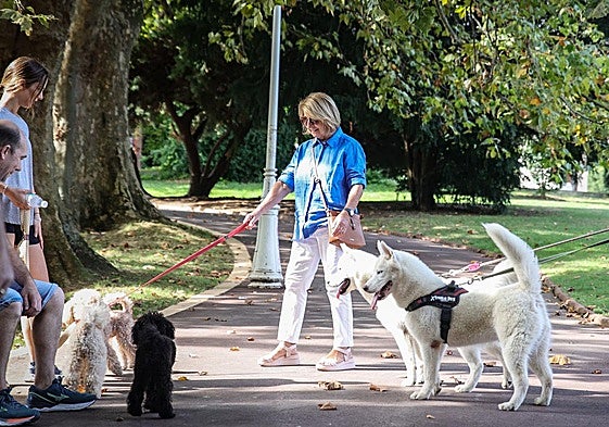 Desde la entrada en vigor de la ordenanza han quedado prohibidas las correas extensibles.