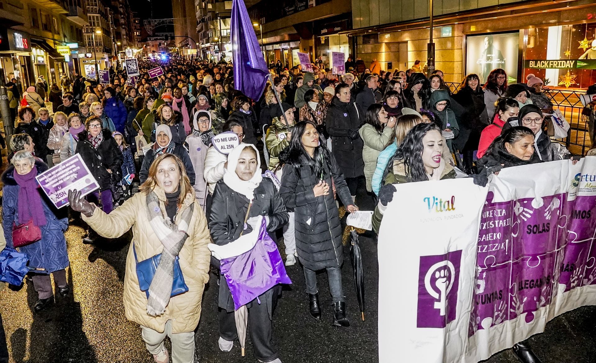 Las imágenes del 25N en Vitoria